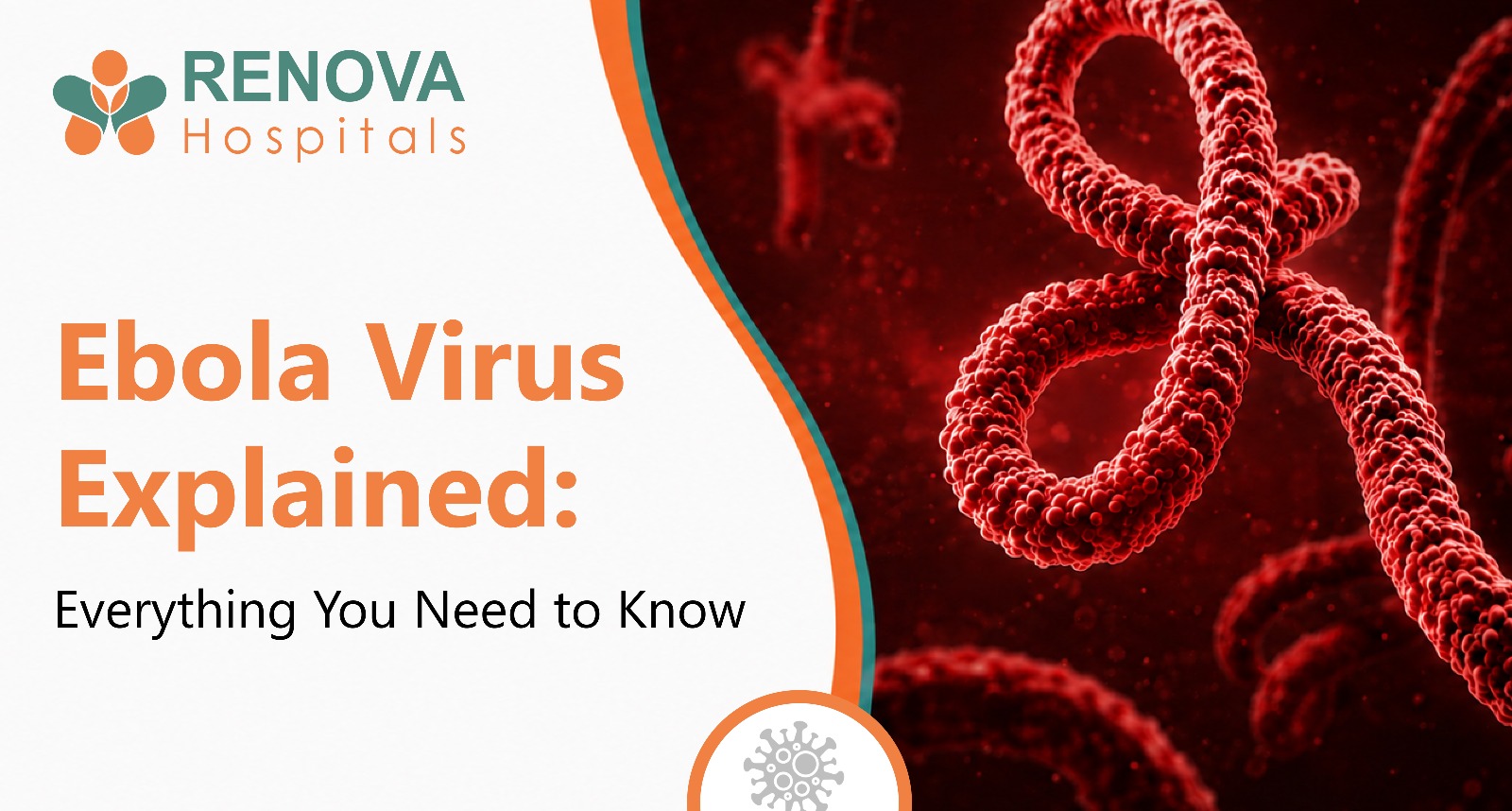 Early Detection, Vaccination, and Infection Control Are Critical in Preventing Ebola