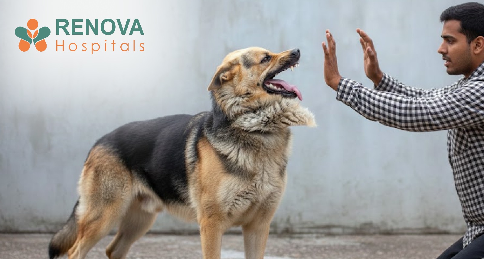 Rabies - Causes, Symptoms, Diagnosis & Treatment at Renova Hospitals