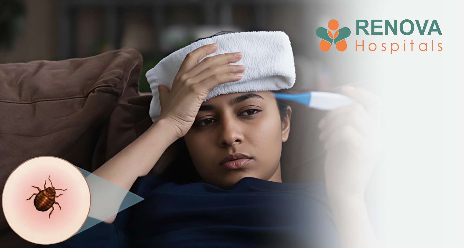 A small tick attached to the skin, which can transmit Babesiosis parasites to humans