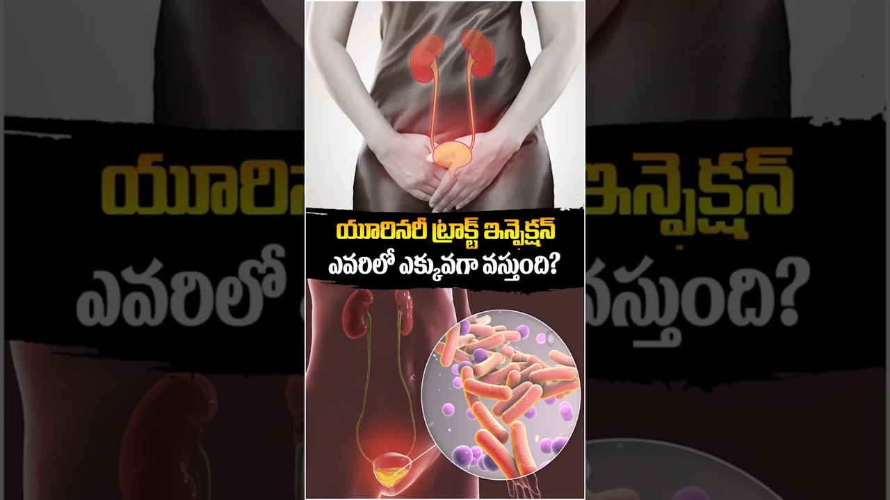 In Whom Urinary Tract Infection Is Affected More In Telugu | Renova #shorts #uti #ytshorts #renova